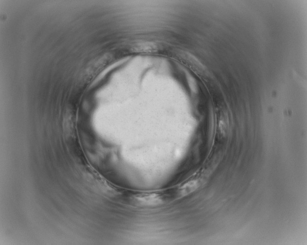 X0000070380322200606301928