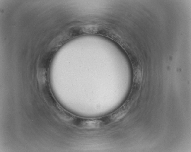 X0000070380323200606301928