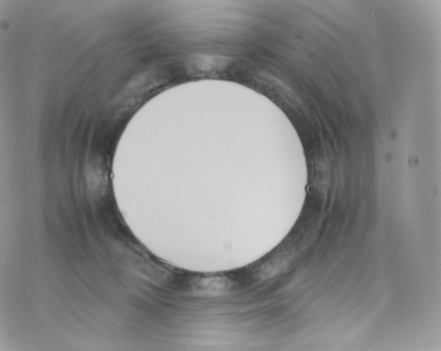 X0000070380324200606301928