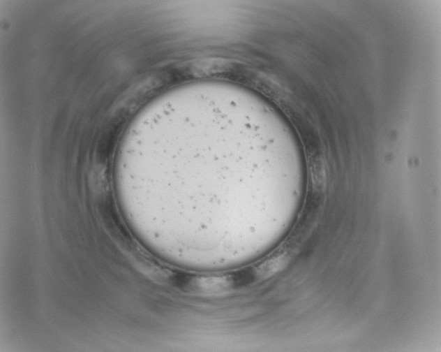 X0000070380327200606301928