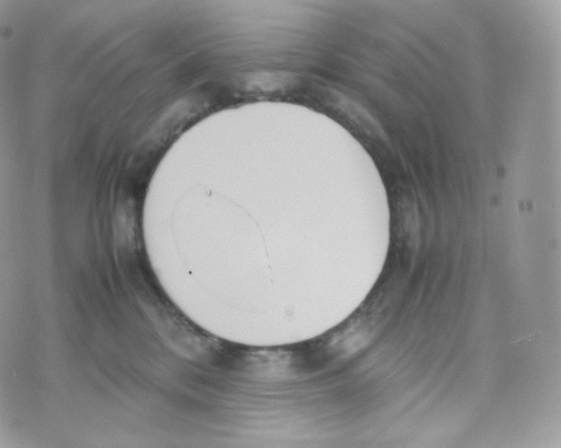 X0000070380328200606301928