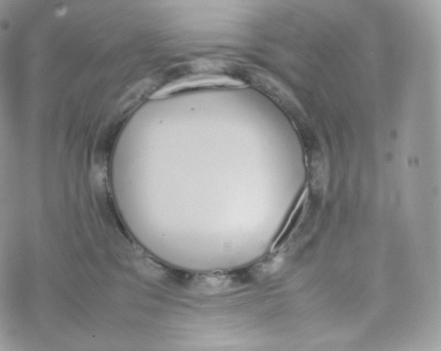 X0000070380329200606301928