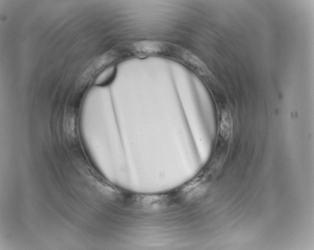 X0000070380330200606301928