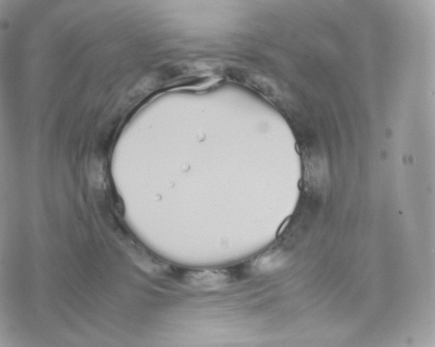 X0000070380331200606301928