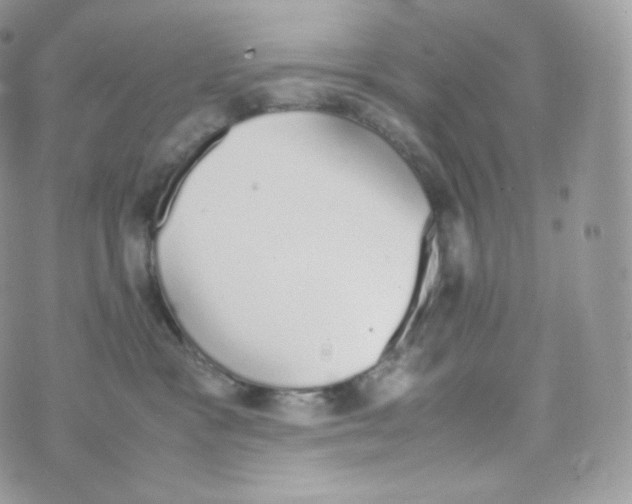 X0000070380333200606301927