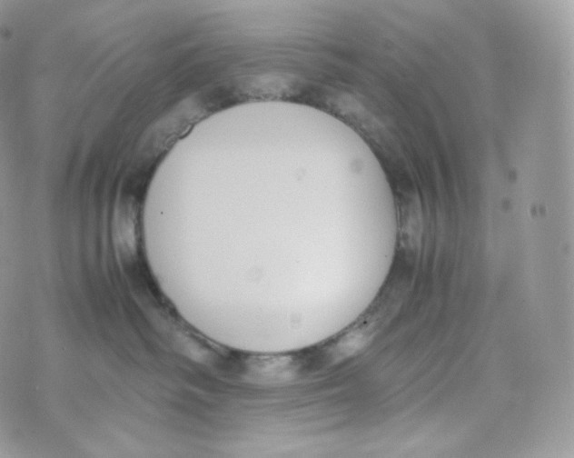 X0000070380334200606301927