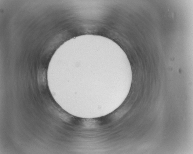 X0000070380336200606301927