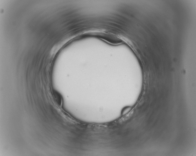 X0000070380337200606301927