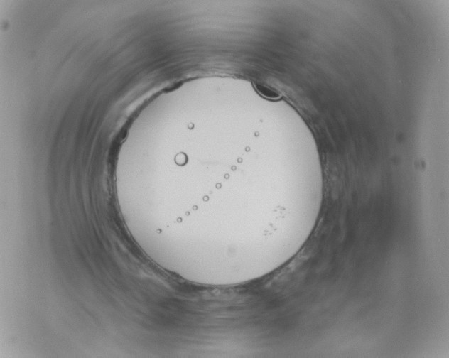 X0000070380338200606301927