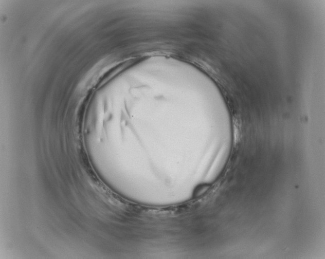 X0000070380339200606301927