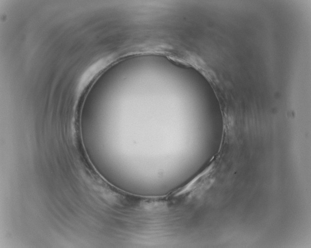 X0000070380340200606301927