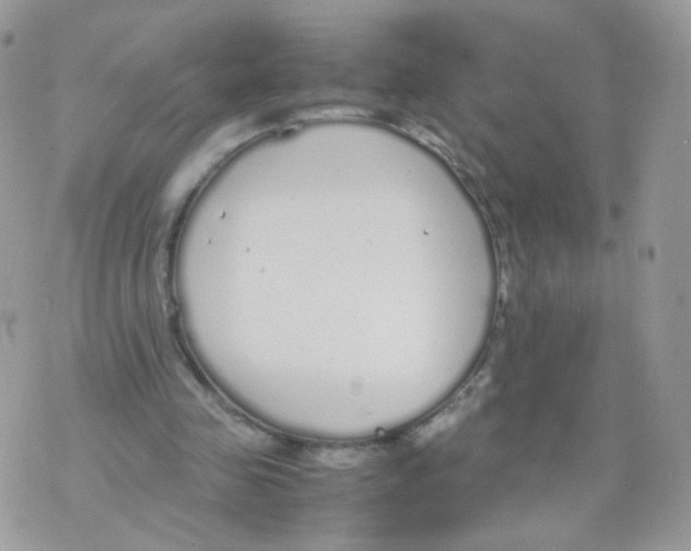 X0000070380341200606301927