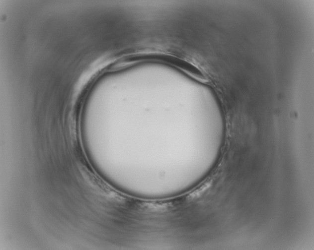 X0000070380343200606301927