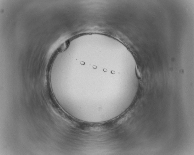 X0000070380344200606301927