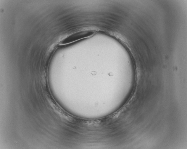 X0000070380345200606301927