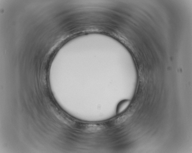 X0000070380347200606301927