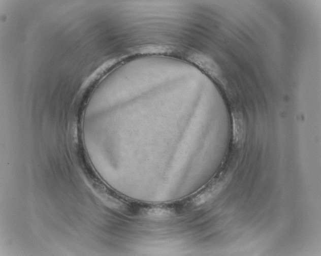 X0000070380348200606301927