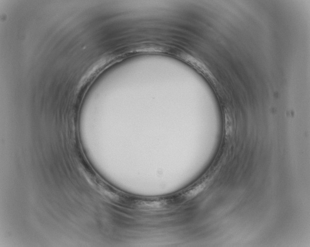 X0000070380349200606301927