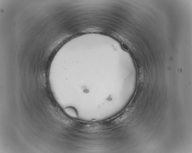 X0000070380351200606301927