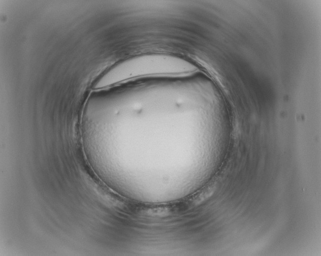 X0000070380353200606301927