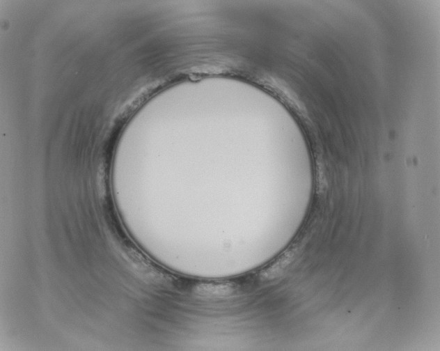 X0000070380354200606301927