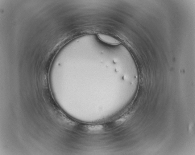 X0000070380355200606301927