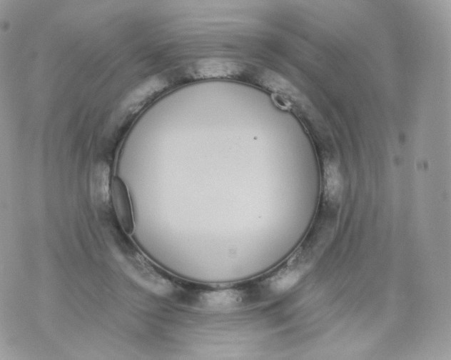 X0000070380356200606301927