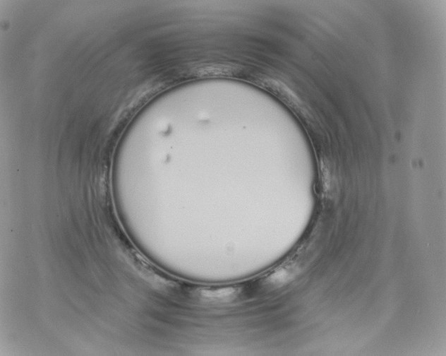 X0000070380357200606301927