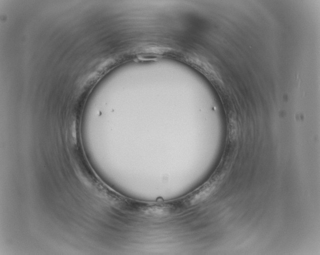 X0000070380358200606301927