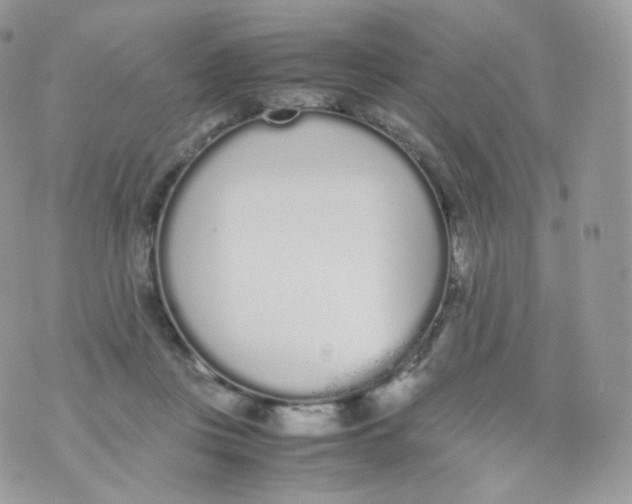 X0000070380359200606301927