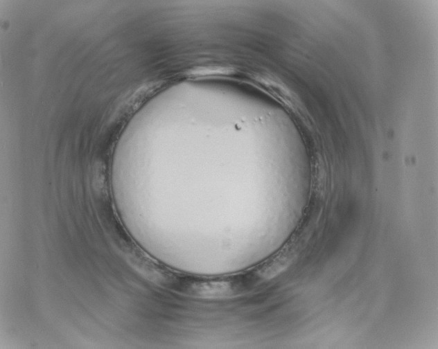 X0000070380361200606301927