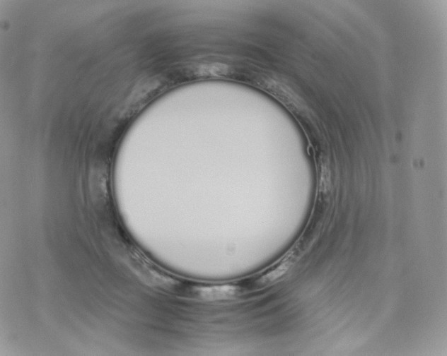 X0000070380363200606301927