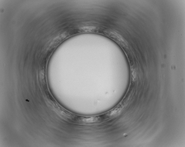 X0000070380365200606301927