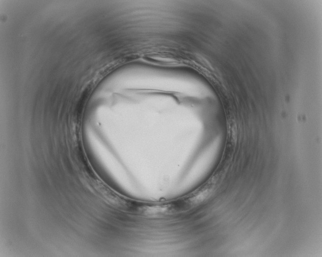 X0000070380366200606301927