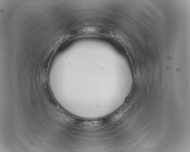 X0000070380367200606301927