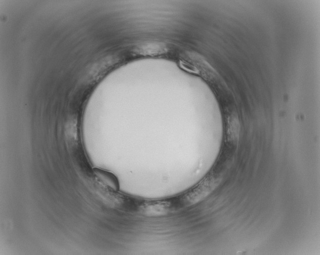 X0000070380368200606301927