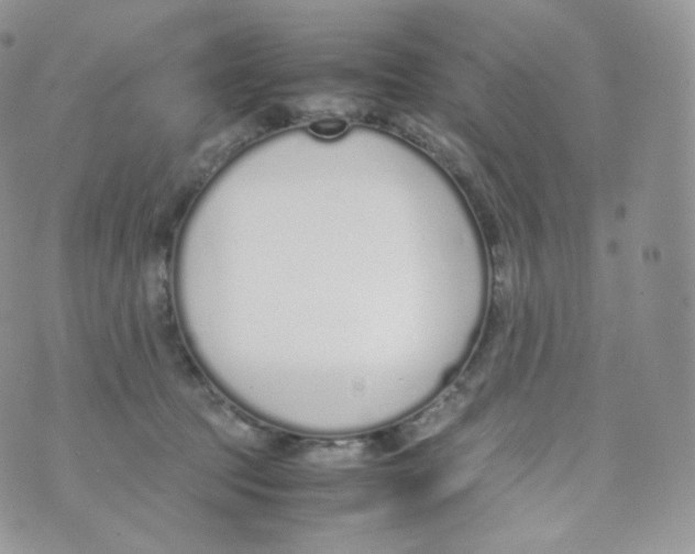 X0000070380369200606301927