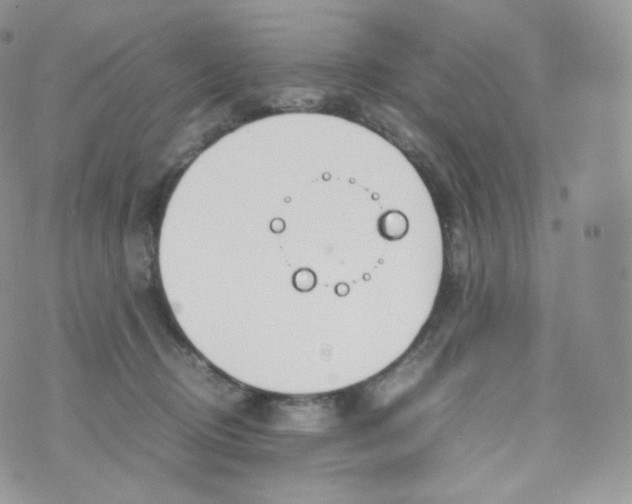 X0000070380370200606301927