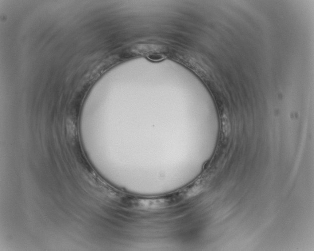 X0000070380371200606301927