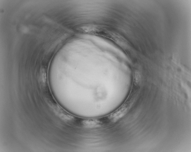 X0000070380372200606301927