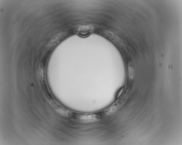 X0000070380375200606301927