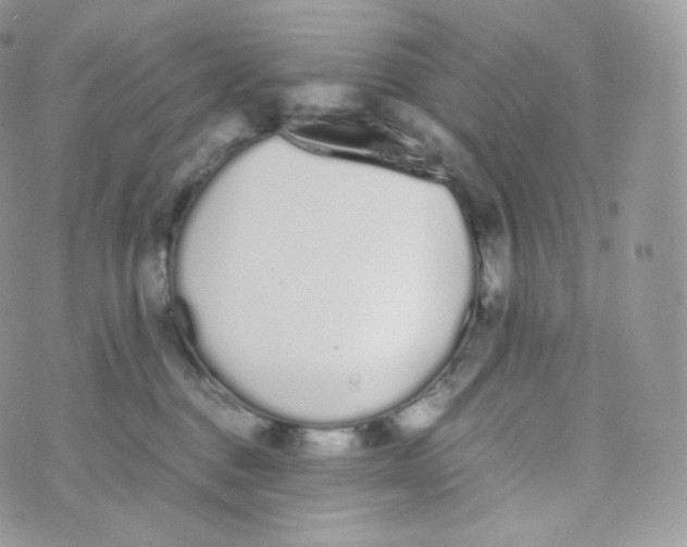 X0000070380376200606301927