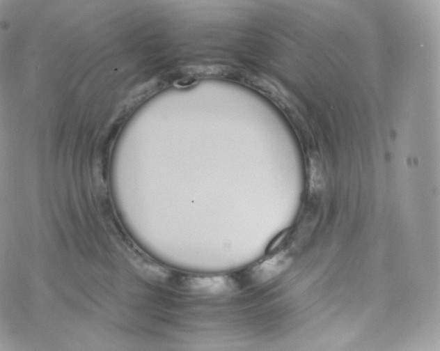 X0000070380377200606301927