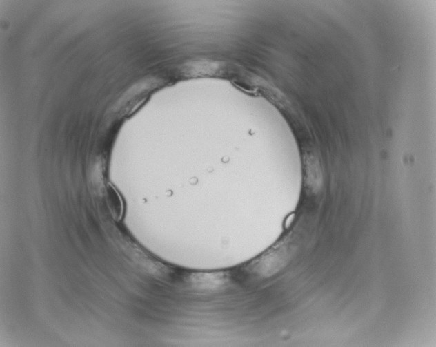 X0000070380378200606301927