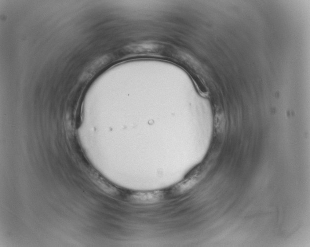 X0000070380381200606301927