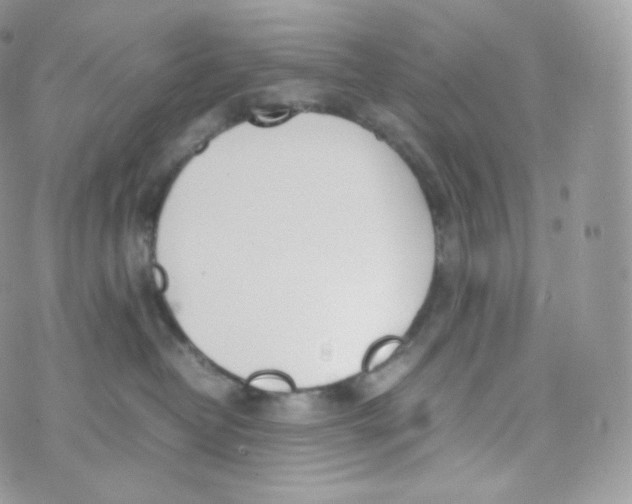 X0000070380382200606301927