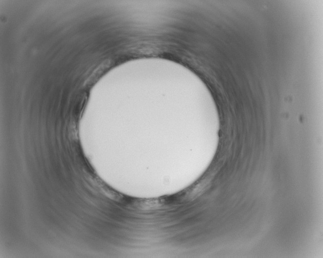 X0000070380384200606301927