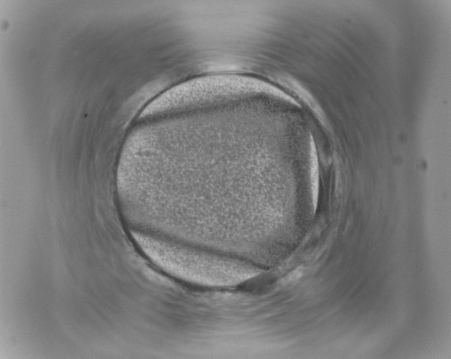 X0000070380385200606301927