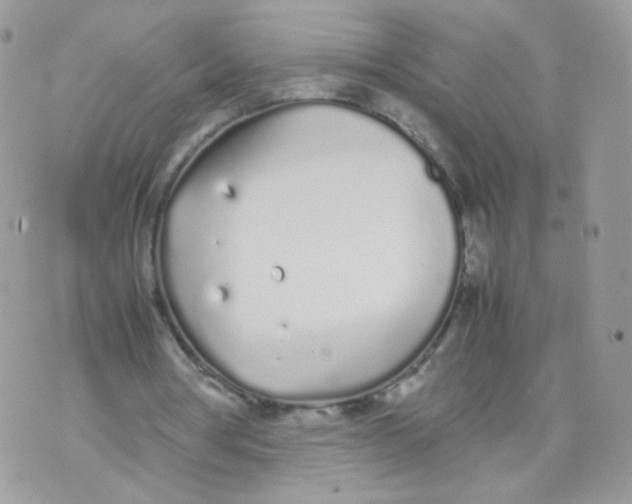 X0000070380386200606301927