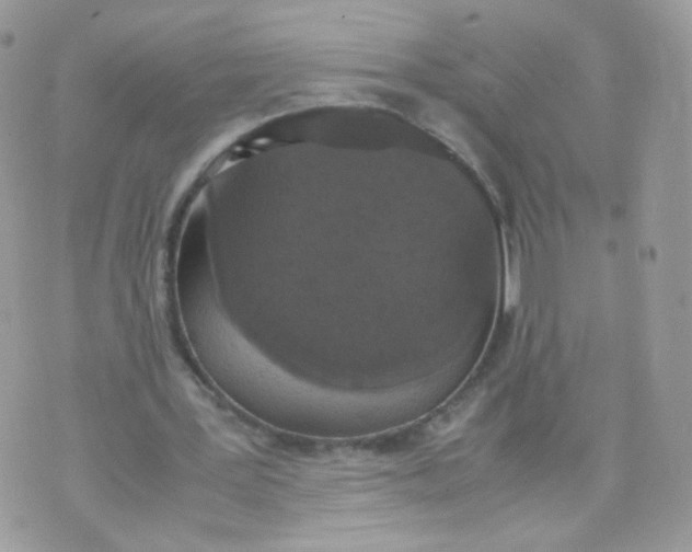 X0000070380387200606301927